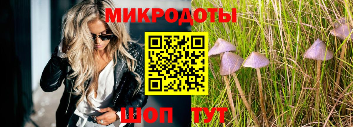 Галлюциногенные грибы Psilocybine cubensis  Вход с VPN  Ярославль  Псилоцибиновые грибы Magic Shrooms 